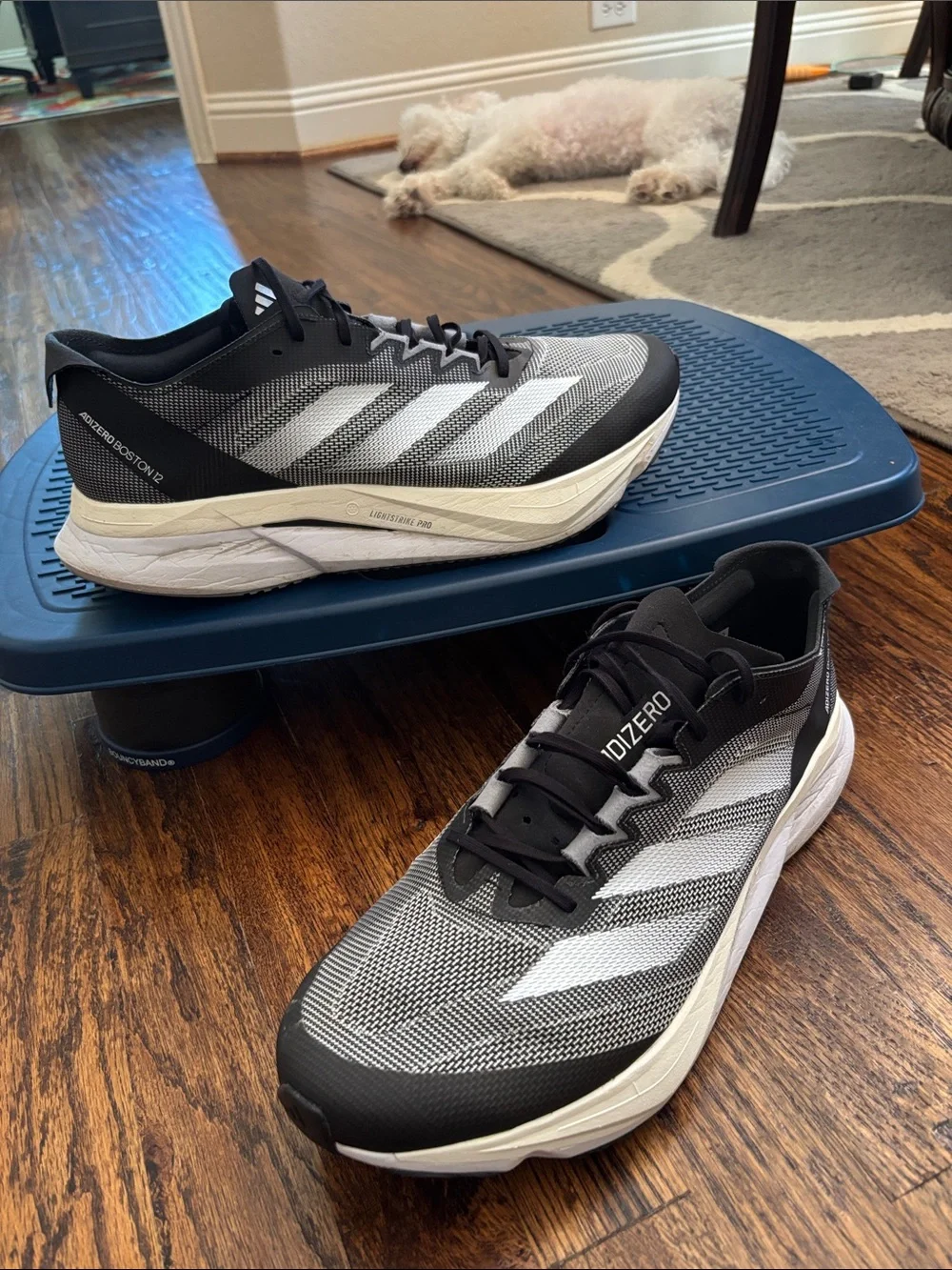 Adidas Adizero Boston 12